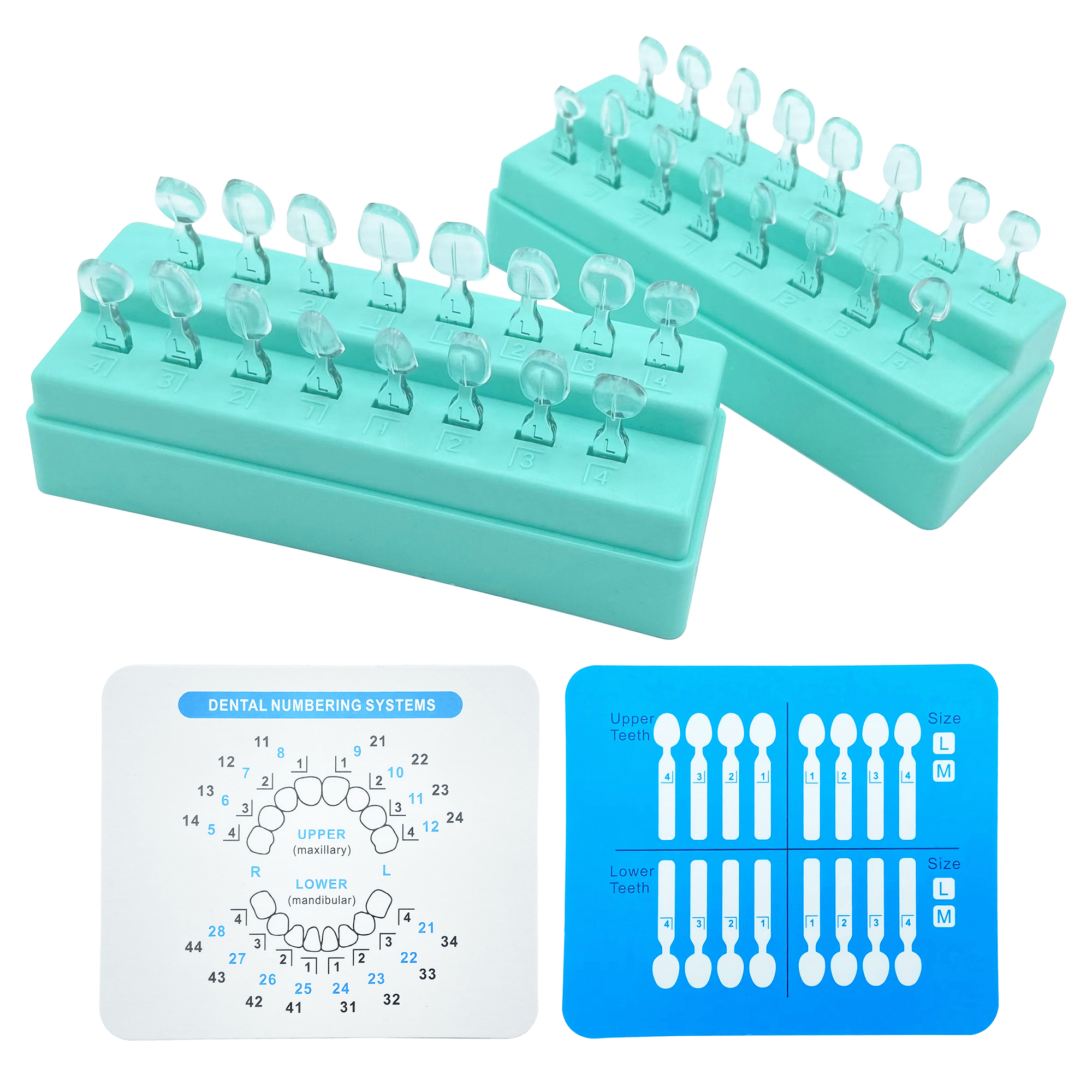 32Pcs New Dental Veneer Mould  - огляд і ціна Teeth Whitening Moulds