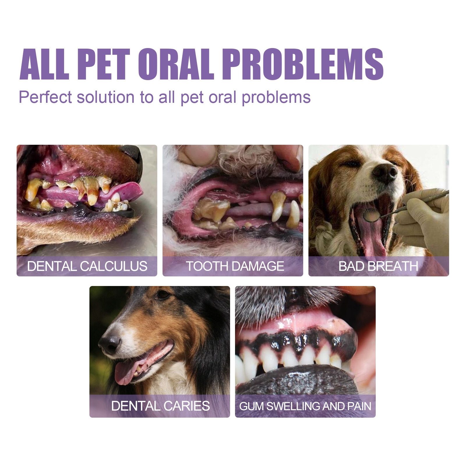 Pet Oral Repair Gel Puppy Tart - огляд і ціна Teeth Whitening Session