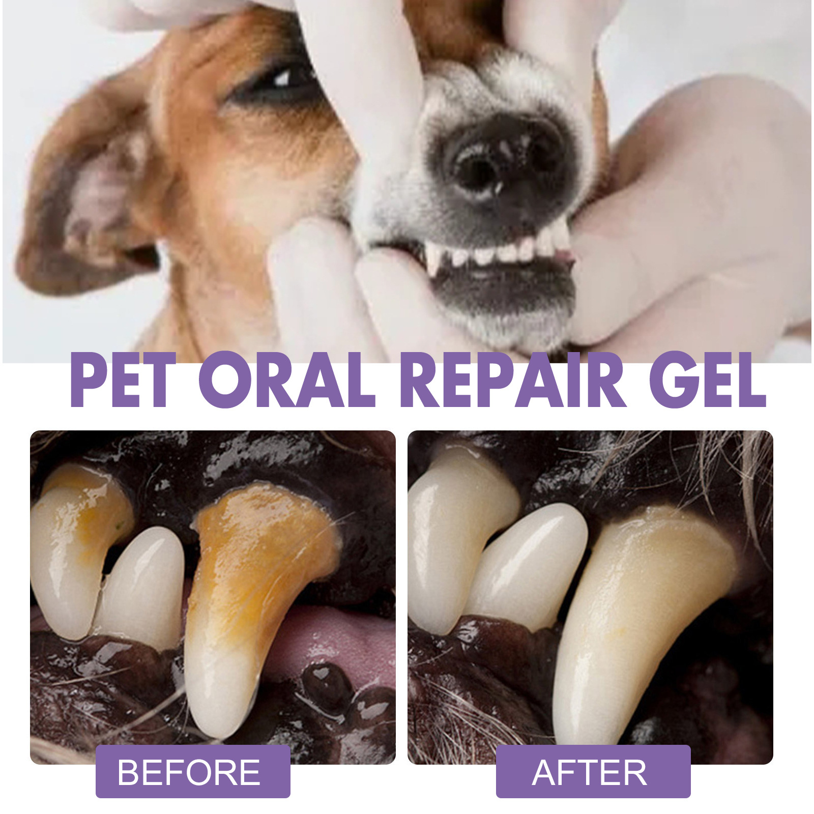 Pet Oral Repair Gel Puppy Tart - огляд і ціна Teeth Whitening Session