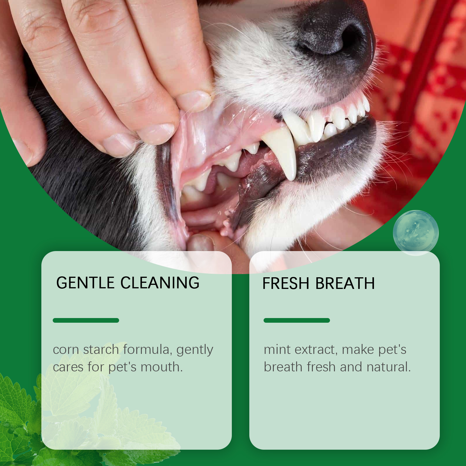 Pet Teeth Cleaning Powder Redu - огляд і ціна Teeth Whitening Instant