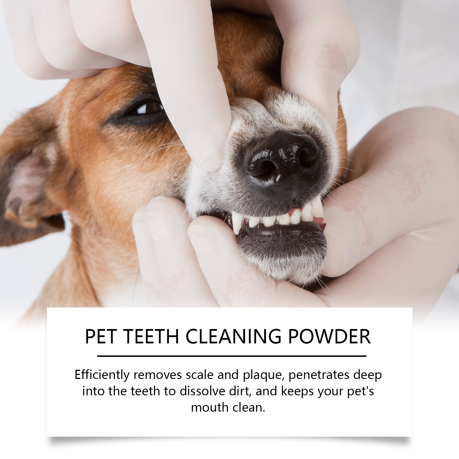 Pet Teeth Cleaning Powder Redu - огляд і ціна Teeth Whitening Instant