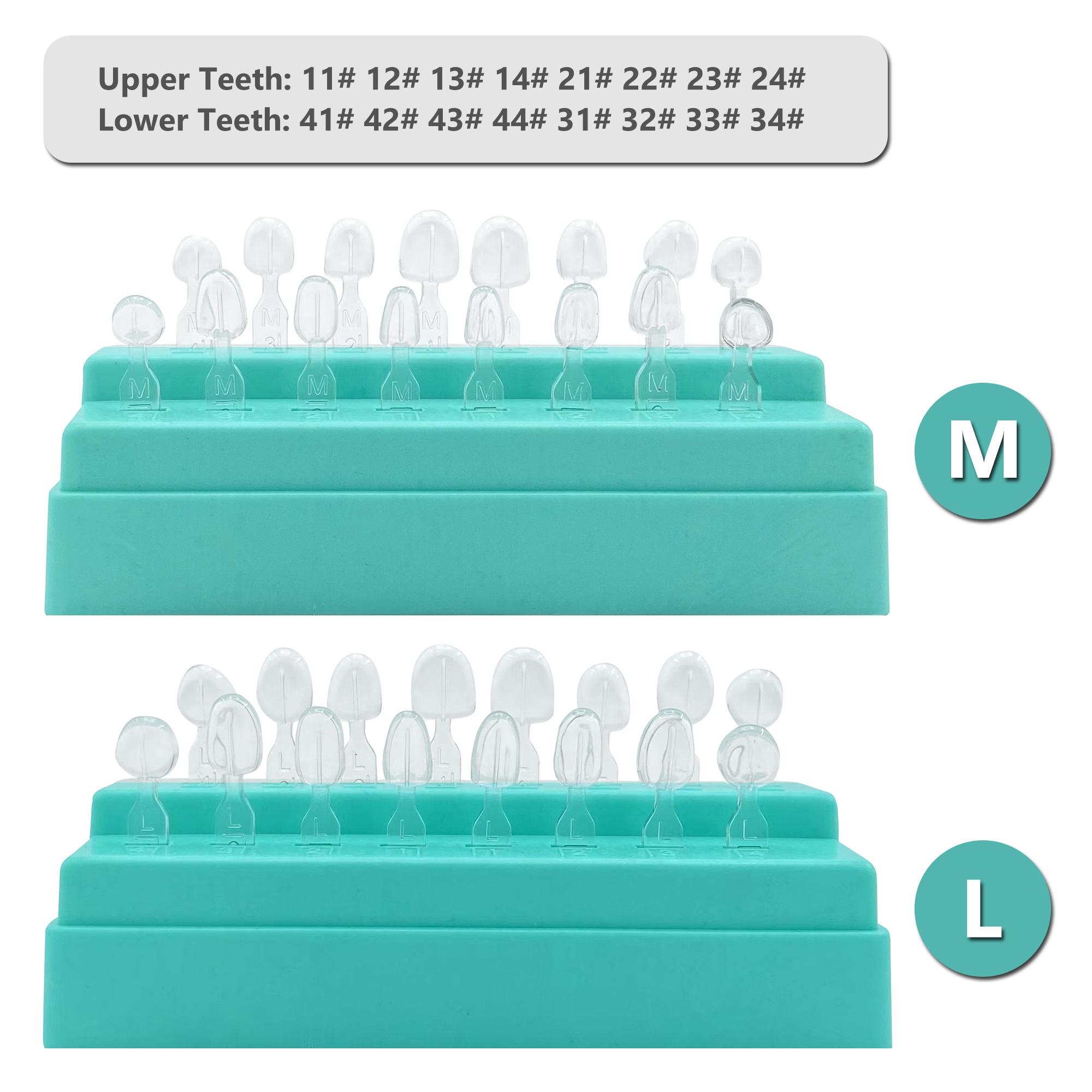 32pcs/Set Dental Veneer Mould  - огляд і ціна Teeth Whitening Moulds